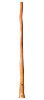 Tristan O'Meara Didgeridoo (TM409)